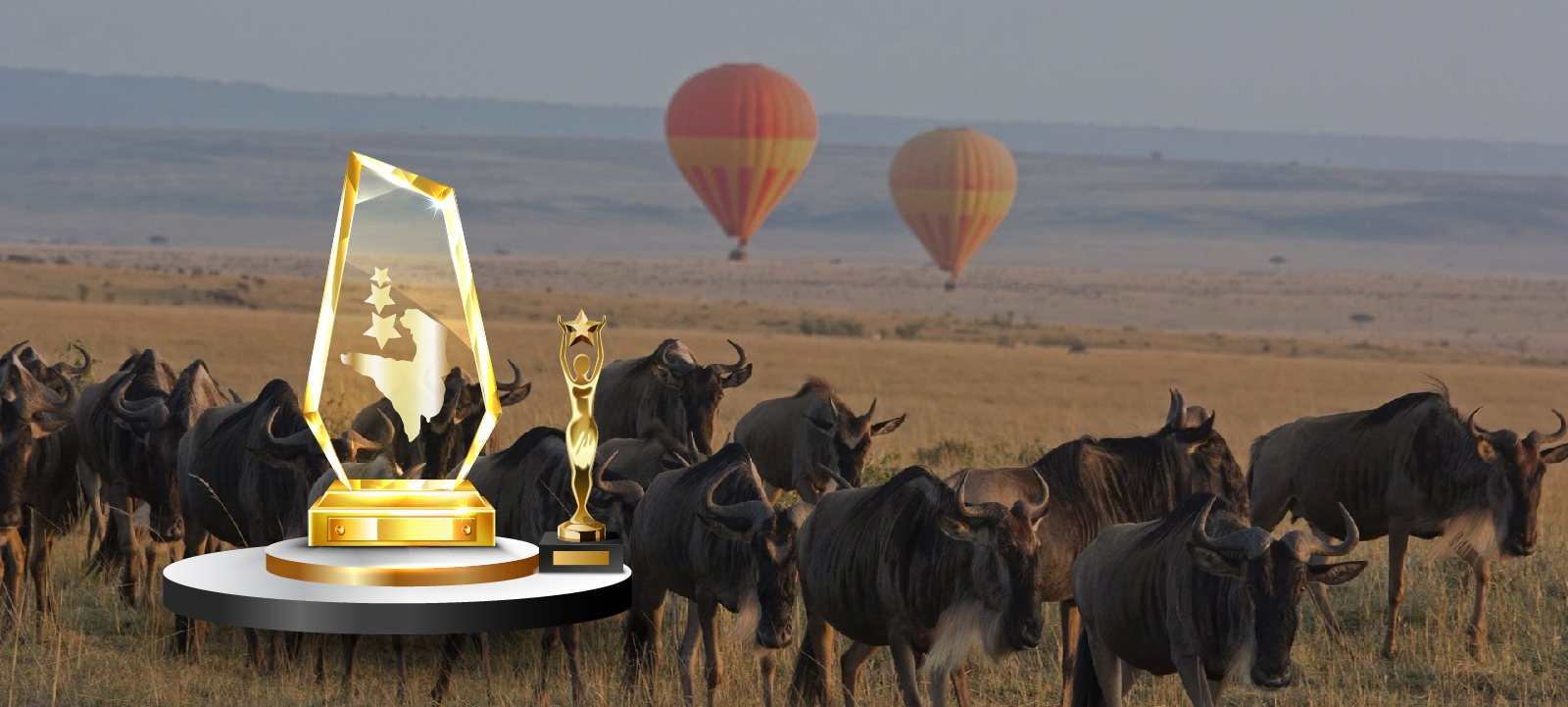 Serengeti Awards Honors Tourism Leaders in December